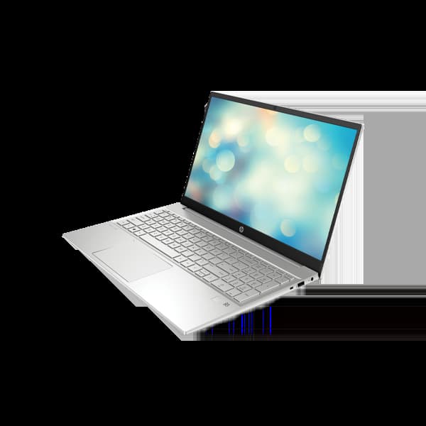 لپ تاپ اچ پی HP 15-dw3008ne